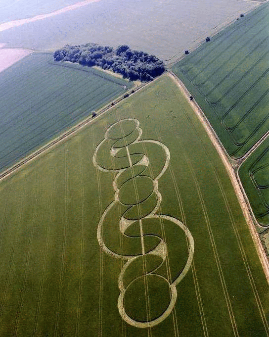 crop circle crop circles ufo cerchi nel grano